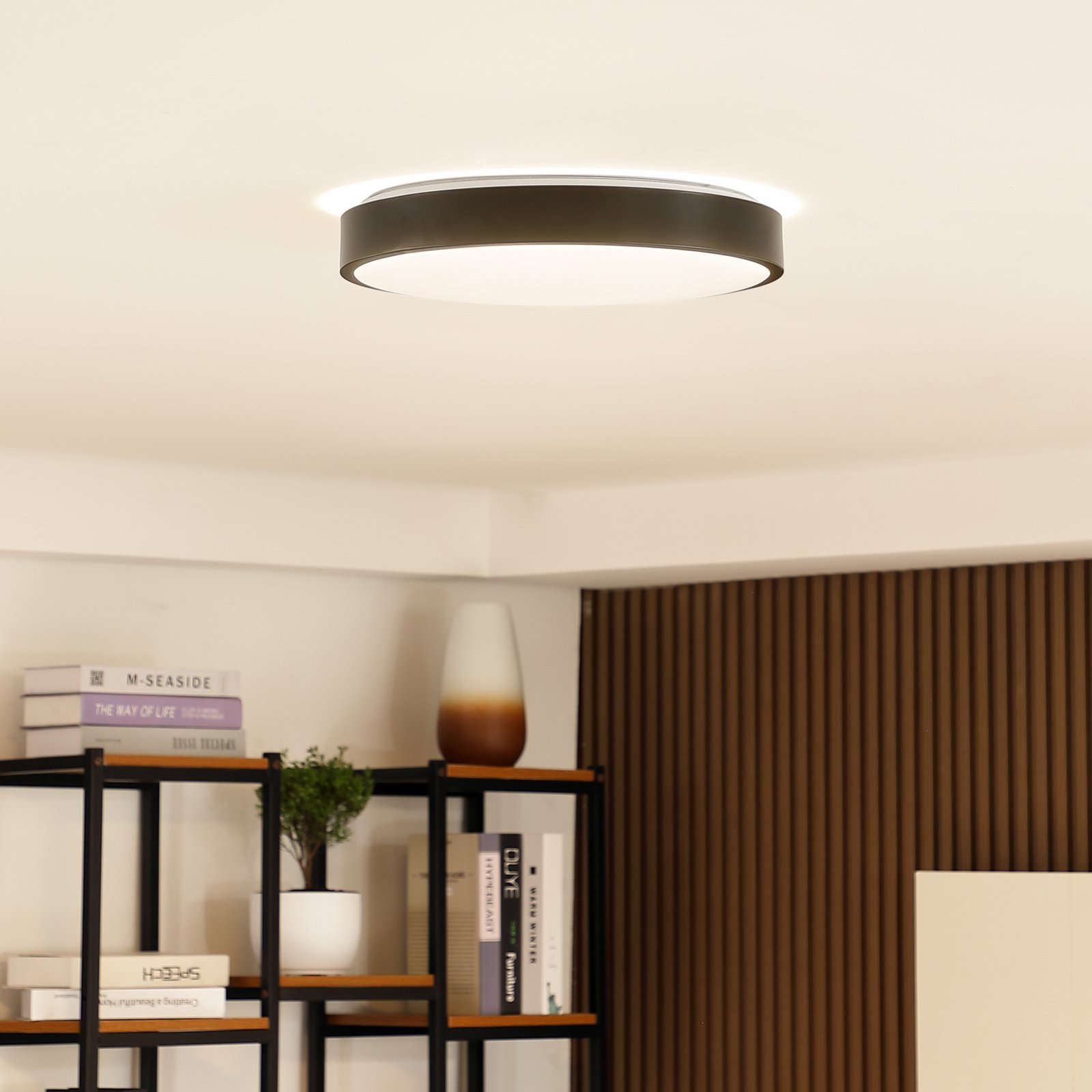 Lindby Smart LED stropní svítidlo Innes černé 38cm RGB CCT Tuya