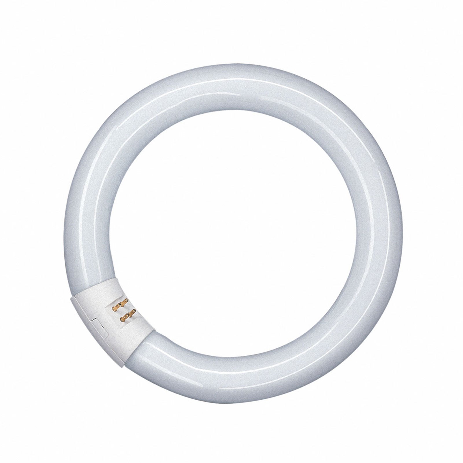 G10q 40W 840 Lumilux T9C fluorescent ring